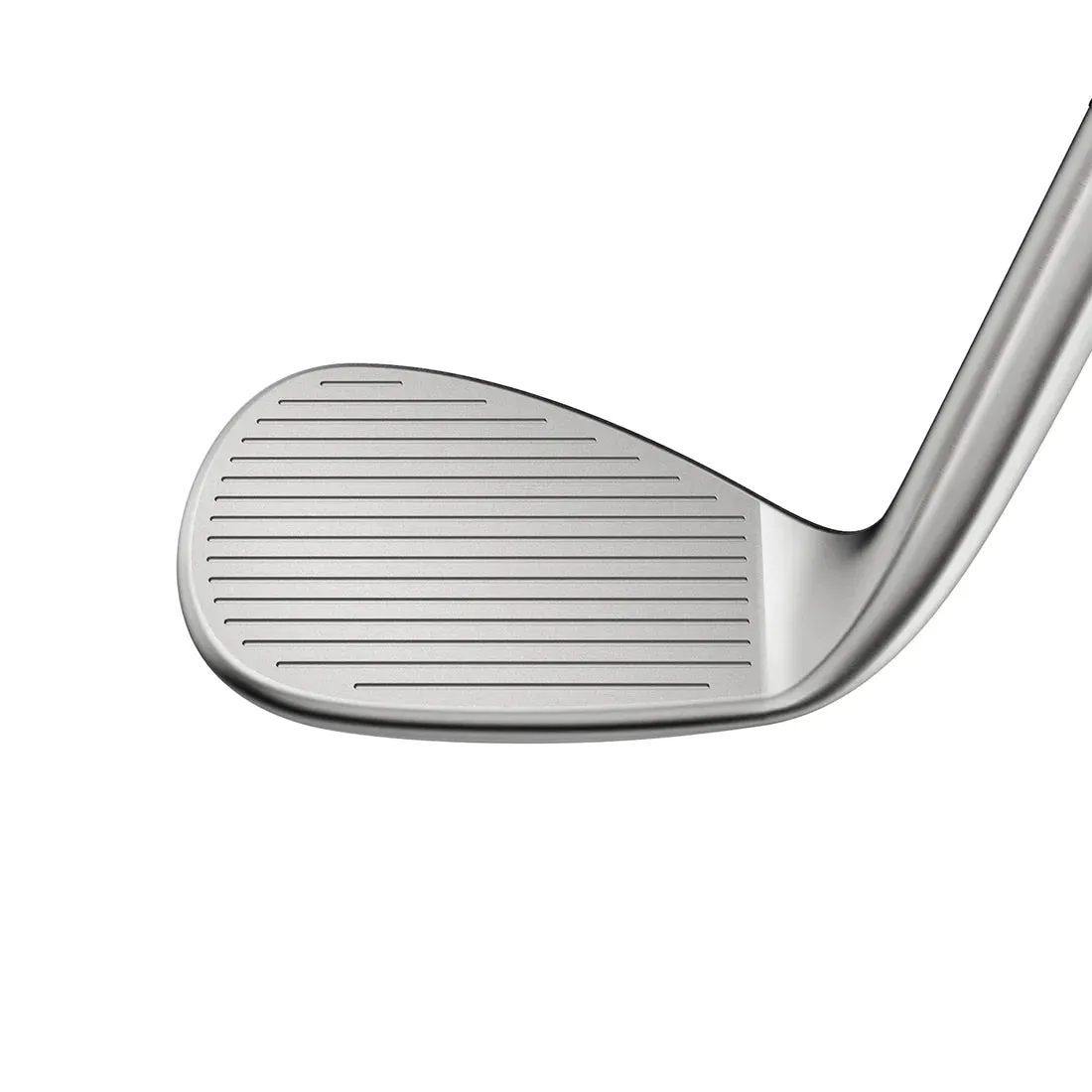 Cobra SNAKEBITE Raw Wedge- Graphite