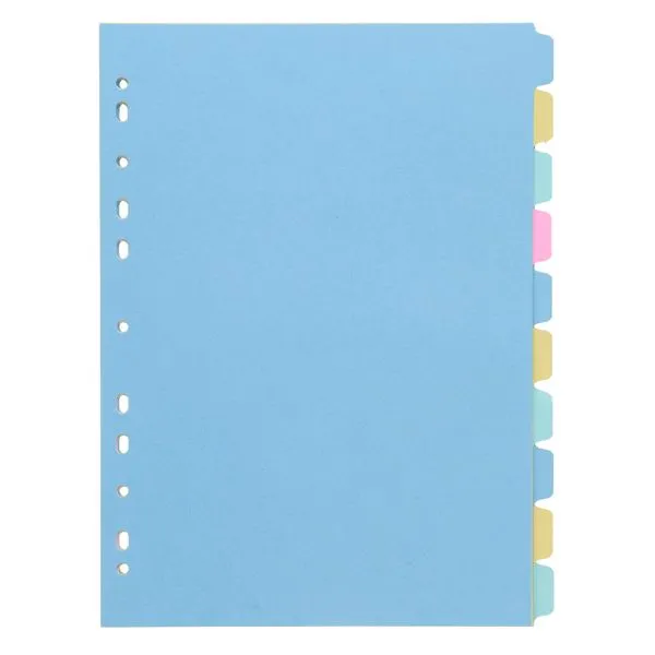 Concept Multi-Coloured Subject Divider 10 Part