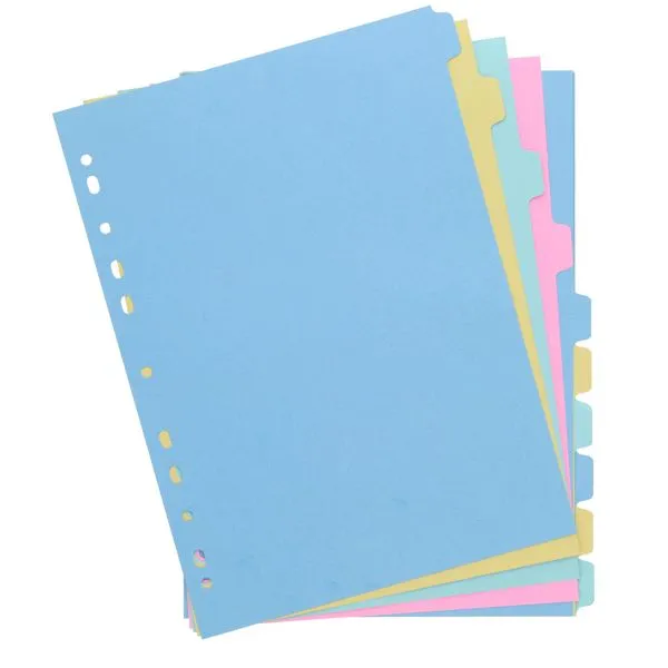 Concept Multi-Coloured Subject Divider 10 Part