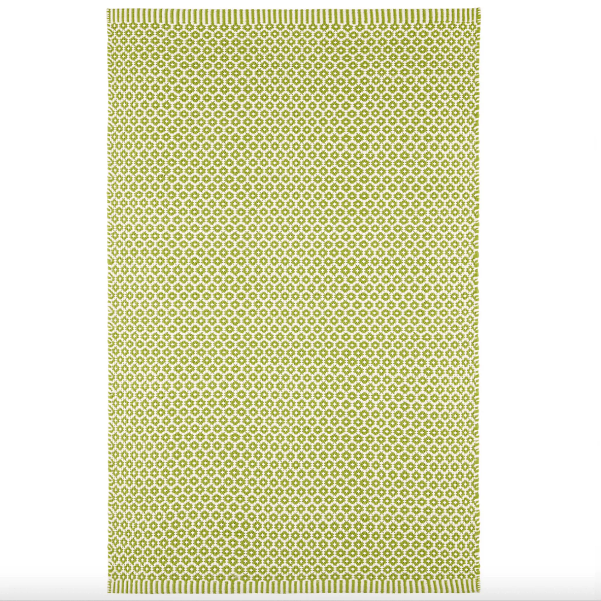 Finn Handwoven Indoor/Outdoor Rug - Sprout