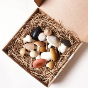 Forest Mushrooms in a Box