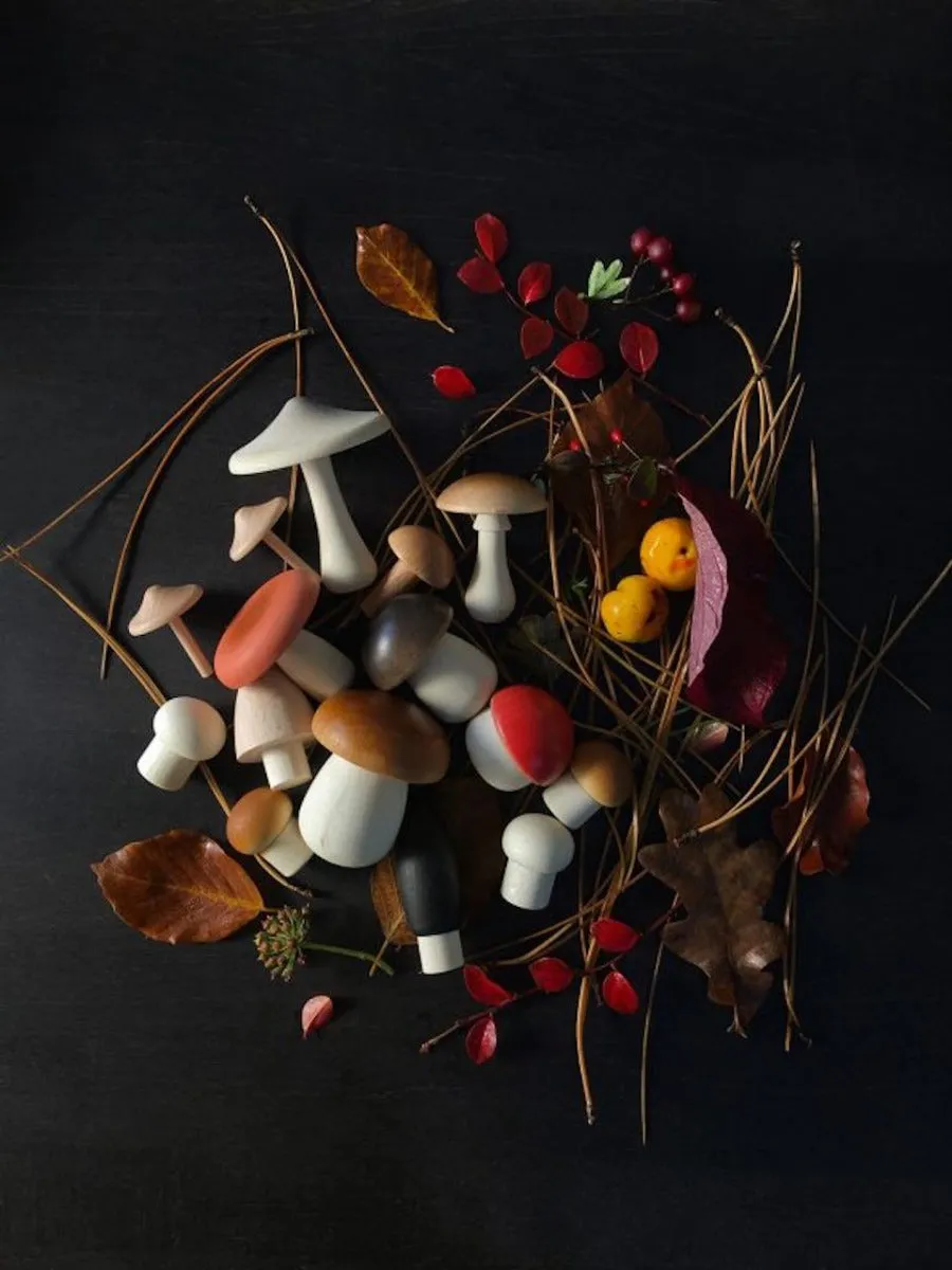 Forest Mushrooms in a Box