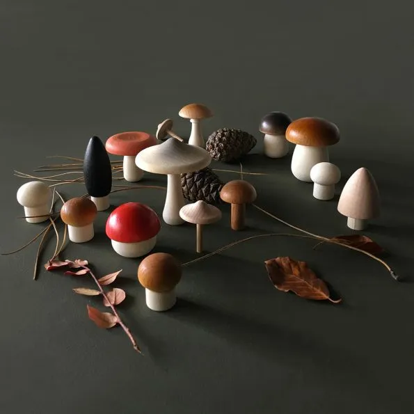 Forest Mushrooms in a Box