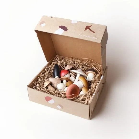 Forest Mushrooms in a Box