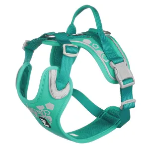 Hurtta Weekend Warrior Peacock 16-18 Inch Dog Harness