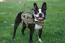 KILONINER COMPACT K9 TACTICAL MOLLE DOG VEST SMALL