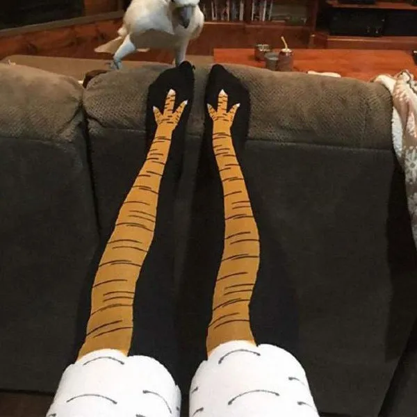 Knee Socks Funny Chicken Socks