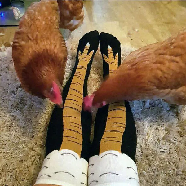 Knee Socks Funny Chicken Socks