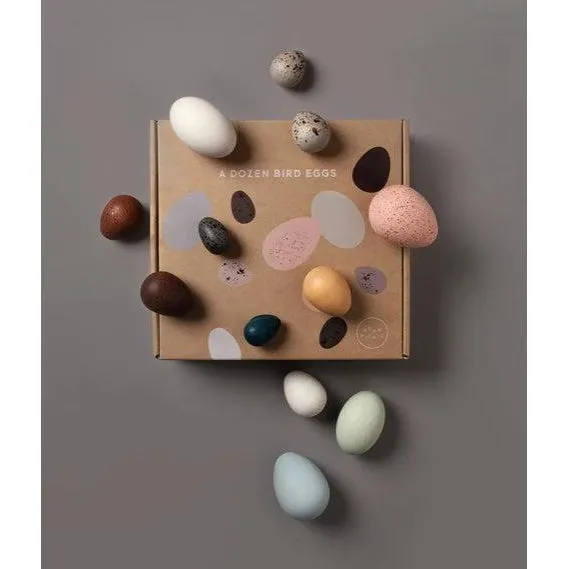 Moon Picnic - A Dozen Bird Eggs in a Box