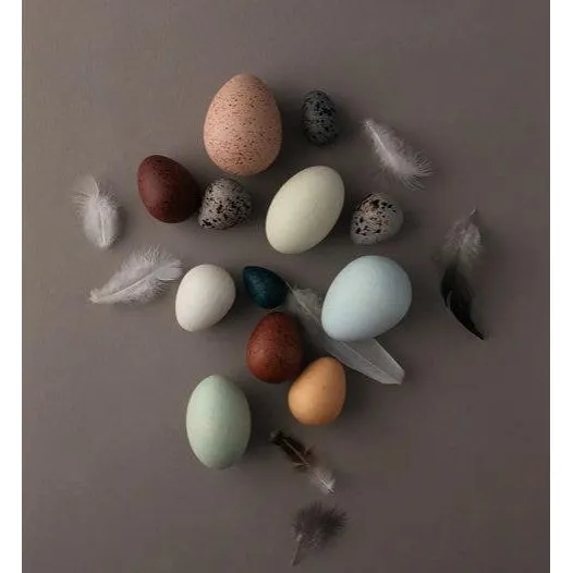 Moon Picnic - A Dozen Bird Eggs in a Box