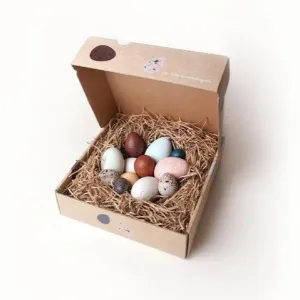 Moon Picnic - A Dozen Bird Eggs in a Box