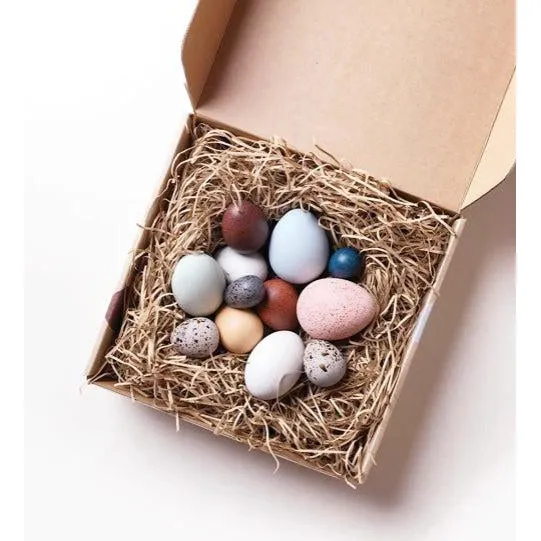 Moon Picnic - A Dozen Bird Eggs in a Box