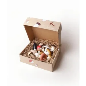 Moon Picnic - Forest Mushroom in a Box