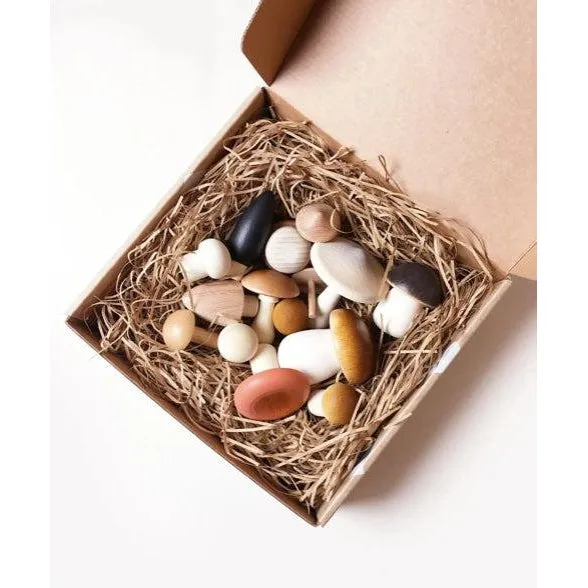Moon Picnic - Forest Mushroom in a Box