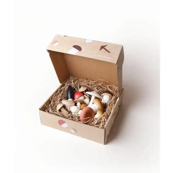 Moon Picnic - Forest Mushroom in a Box