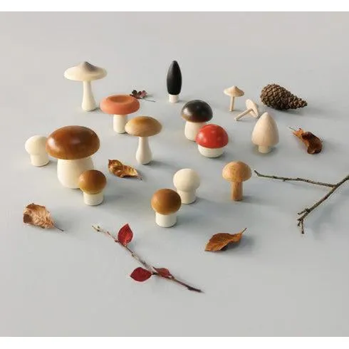 Moon Picnic - Forest Mushroom in a Box