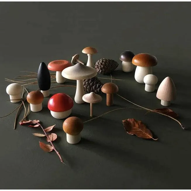 Moon Picnic - Forest Mushroom in a Box