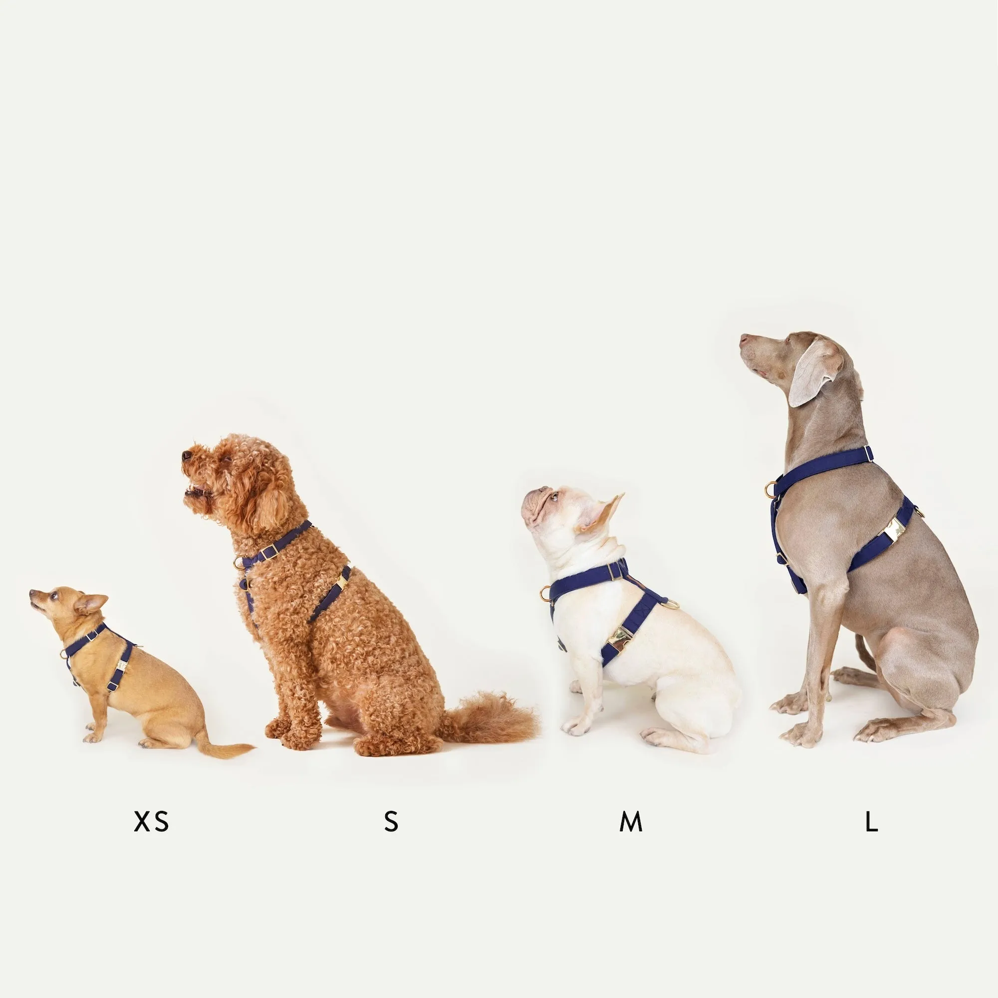 Olive Dog Harness