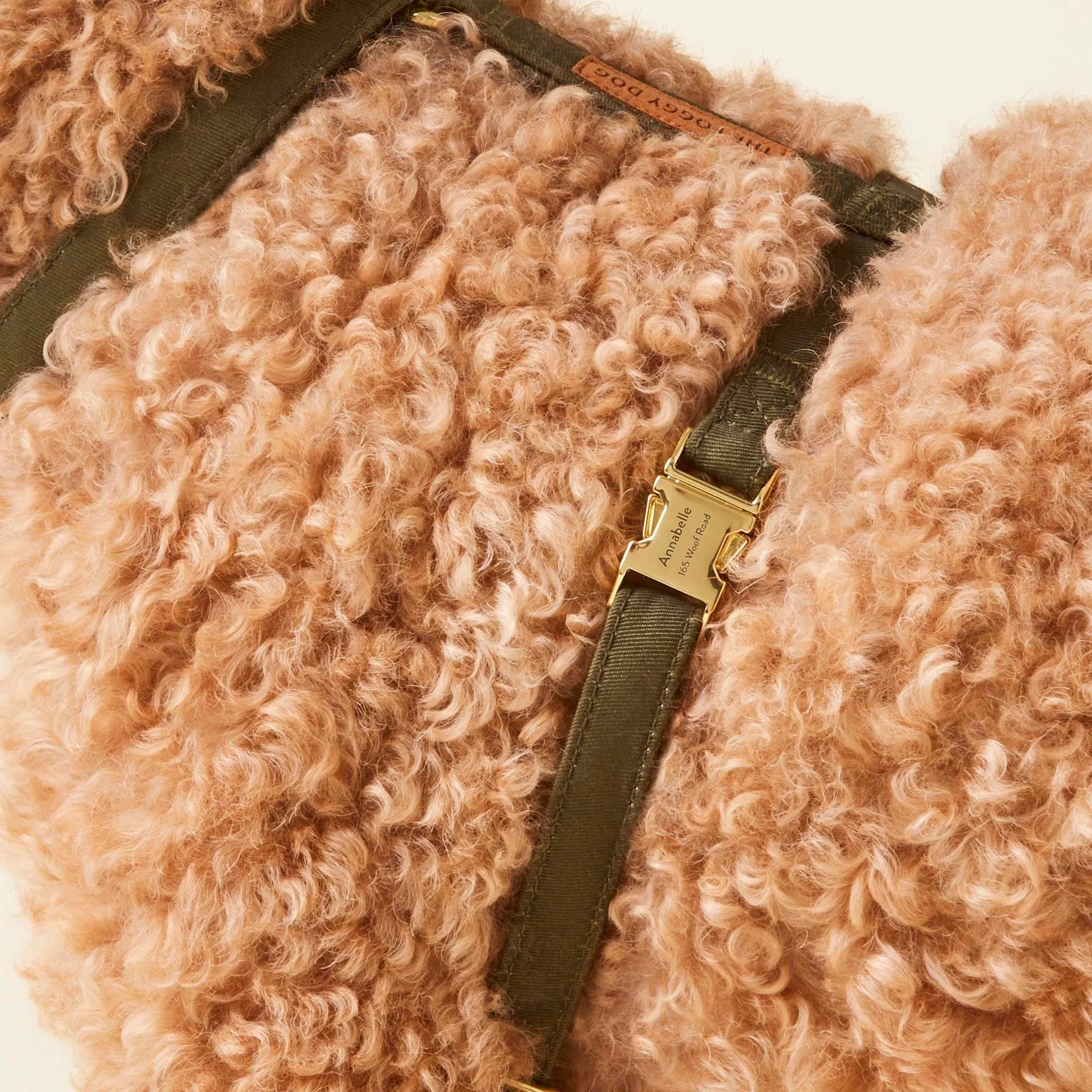Olive Dog Harness