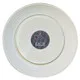 Picnic Dinner Plates Set of 4