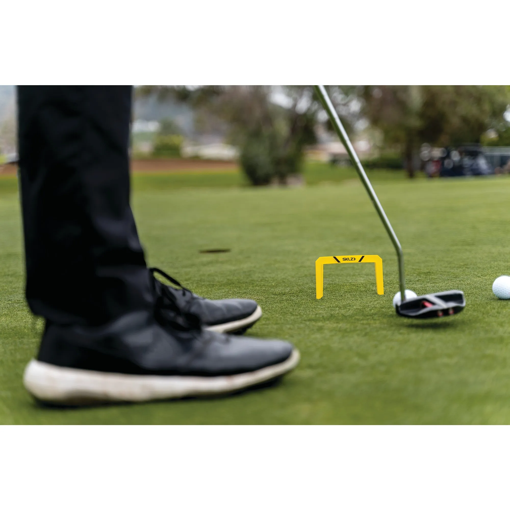 Putt Path Gates