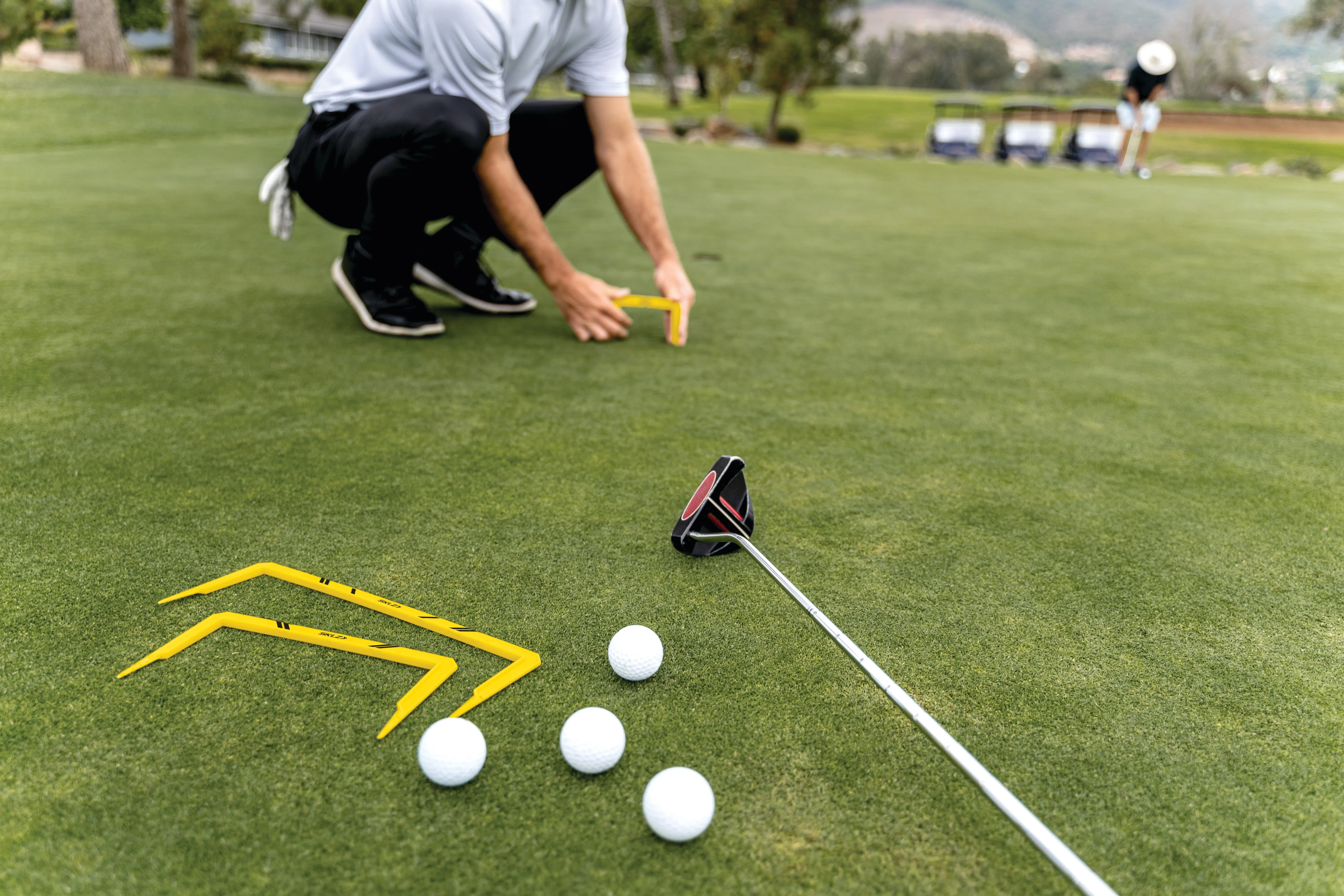 Putt Path Gates