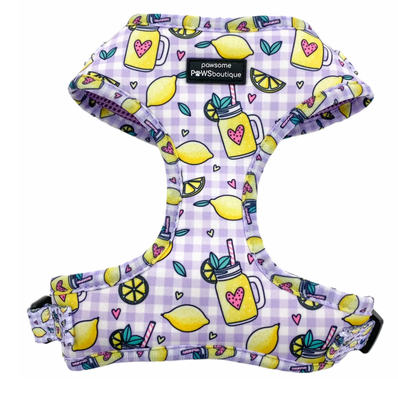 "Squeeze the Day" Adjustable Harness