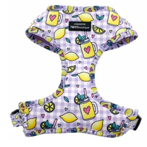 "Squeeze the Day" Adjustable Harness