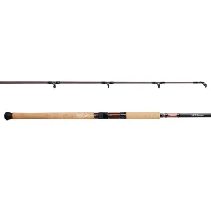 Shimano Raider Surf 1202L 4-8kg Rod
