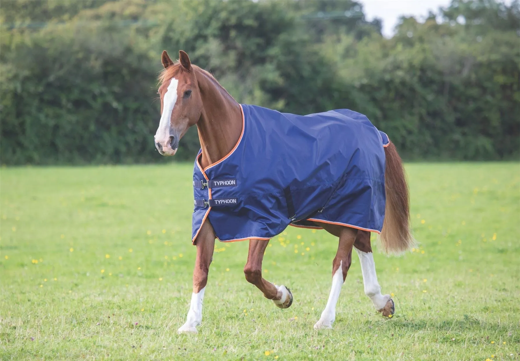 Shires Typhoon 100 Turnout Rug