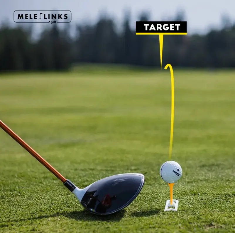 Smooth Golf Aiming Tee Set
