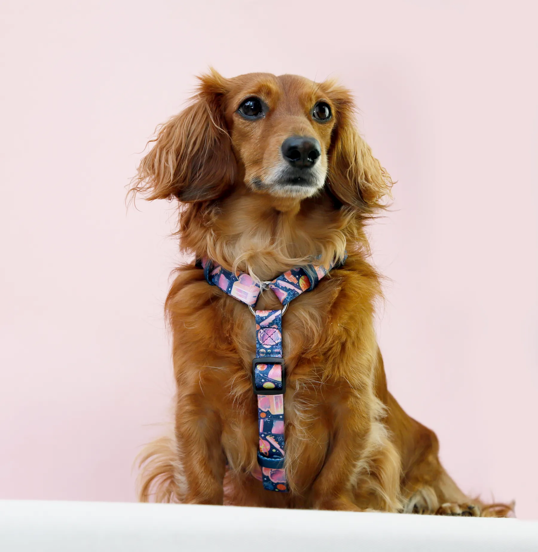 Space jam strap harness