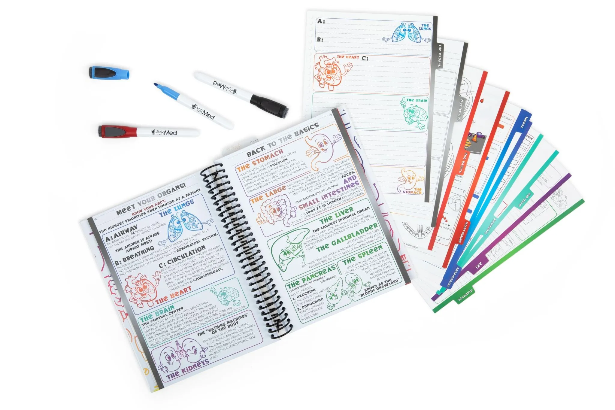 Student Review Book with Dry Erase Dividers   RekPlay Student