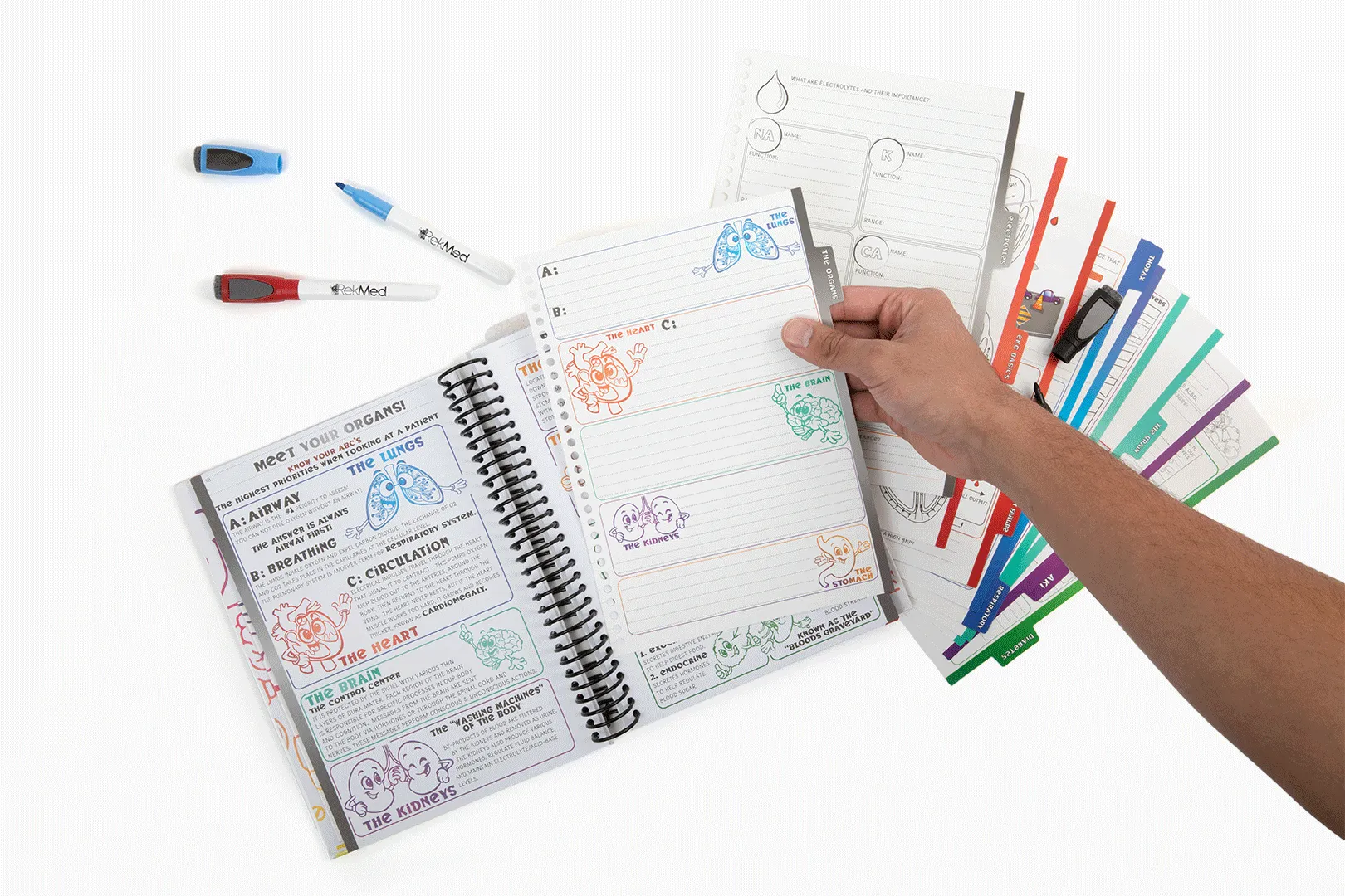 Student Review Book with Dry Erase Dividers   RekPlay Student
