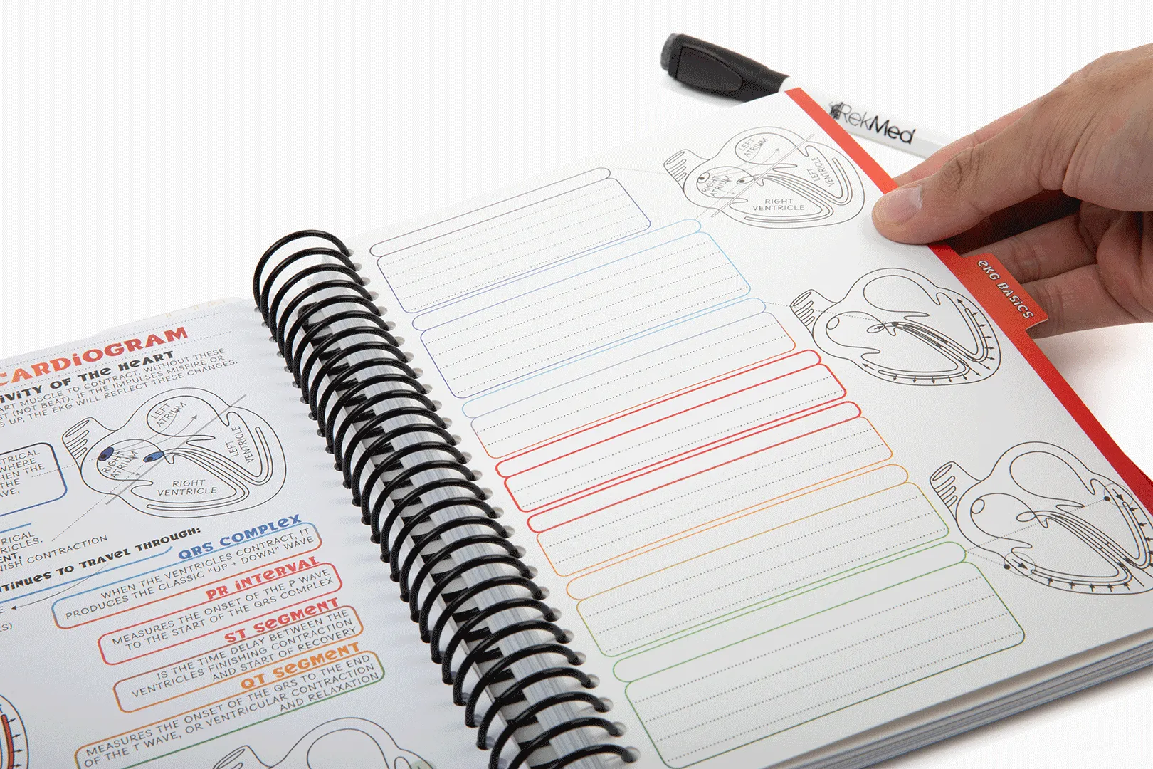 Student Review Book with Dry Erase Dividers   RekPlay Student