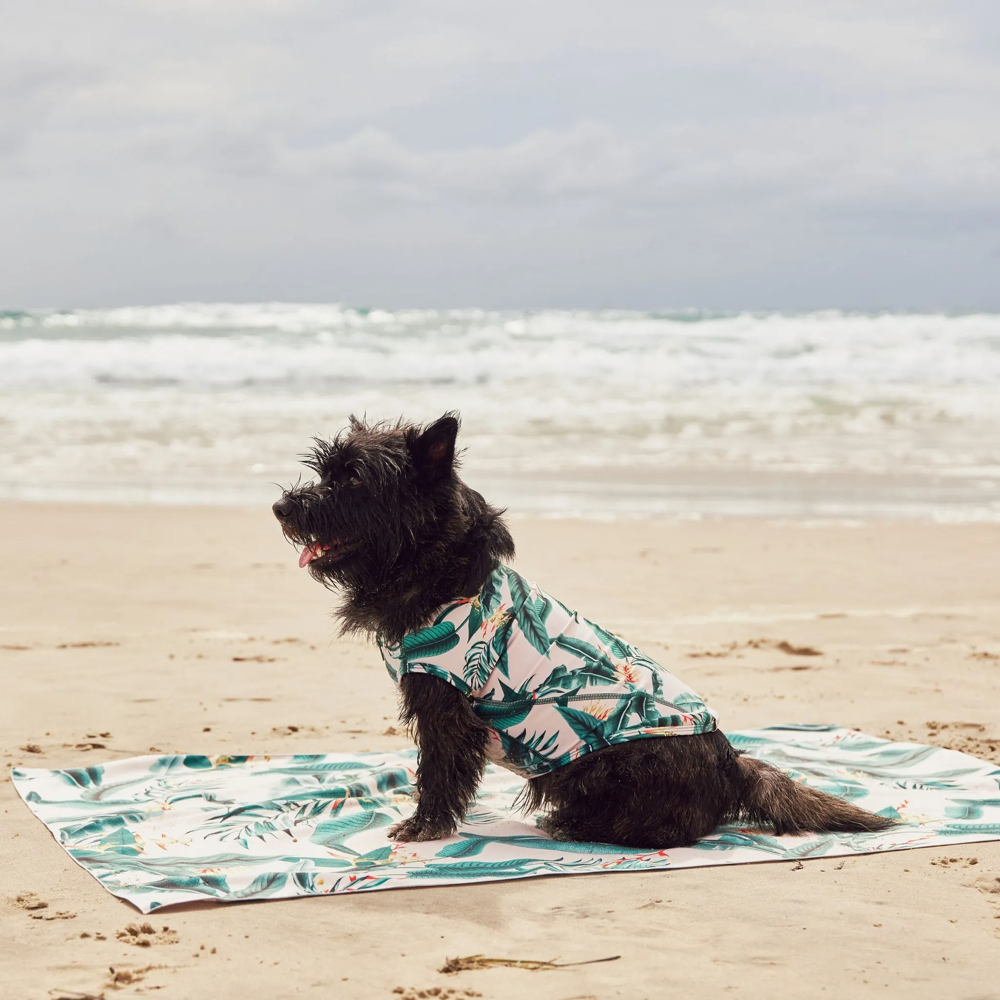 Tropical Paradise Dog Beach Towel