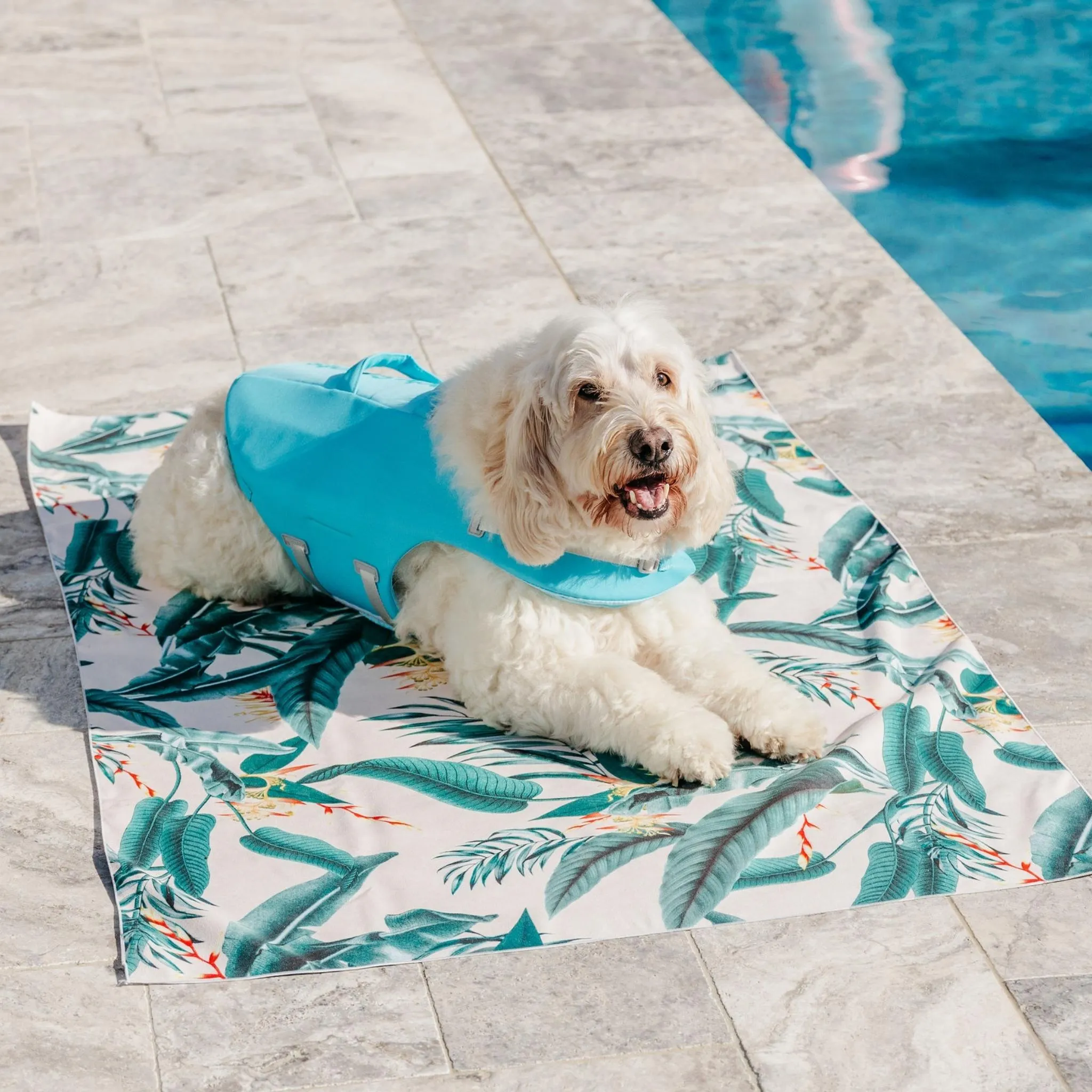 Tropical Paradise Dog Beach Towel