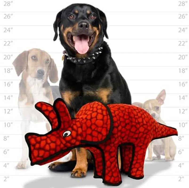 Tuffy Dinosaur Triceratops